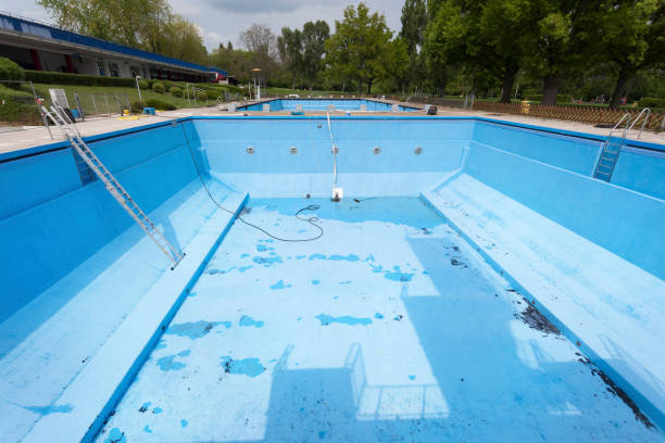 Best Water damage cleanup near me  in Benton Harbor, MI