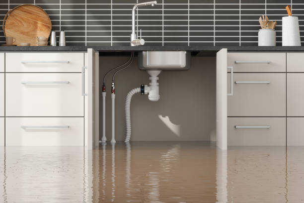 Best Local water damage restoration  in Benton Harbor, MI