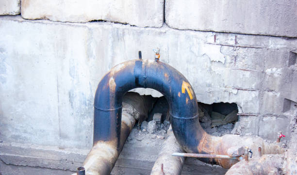 Best Local water damage restoration  in Benton Harbor, MI