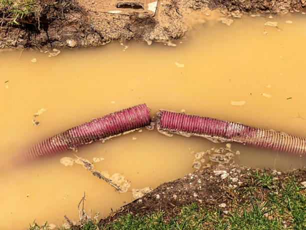 Best Professional water damage repair  in Benton Harbor, MI