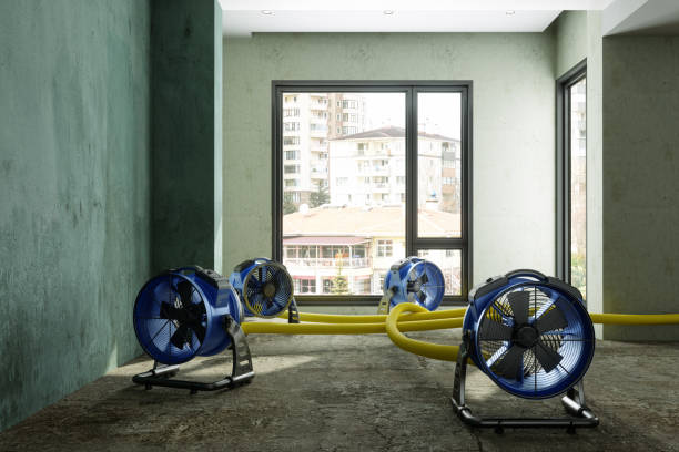 Best Emergency water damage restoration  in Benton Harbor, MI